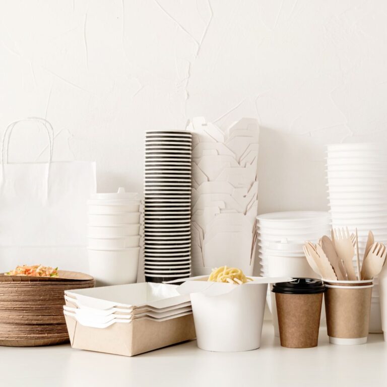 Disposable Tableware