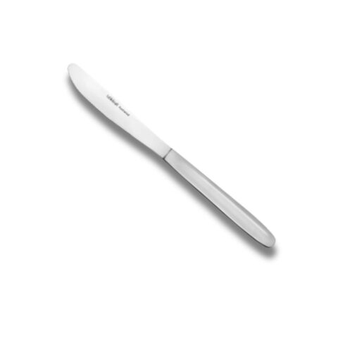 Table Knives | Tablekraft Austwind | 12pcs