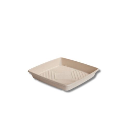 Catering Trays | Sugarcane Medium 305x305x45mm | 100pcs
