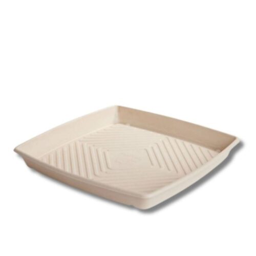 Catering Tray | Sugarcane Large | 397x397x45mm | 100pcs