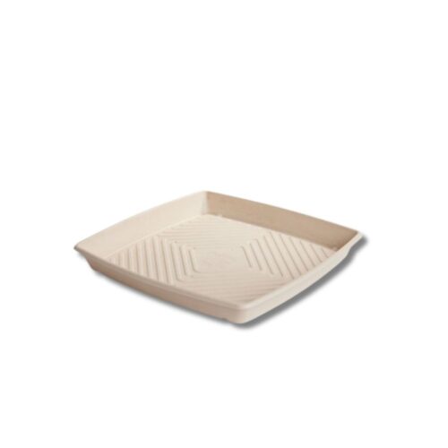 Catering Tray | Sugarcane Large | 397x397x45mm | 100pcs