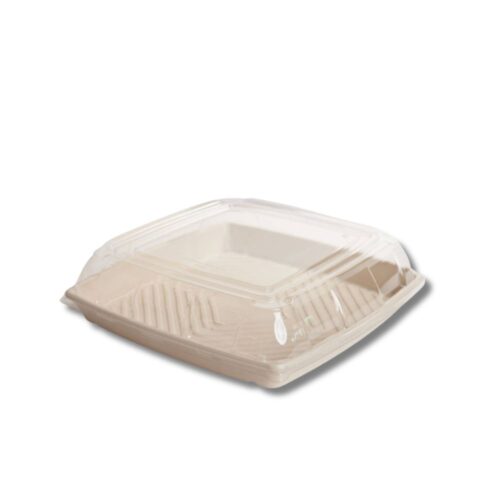 Lids | PET Sugarcane Catering Tray | Medium 317x317x60mm | 100pcs