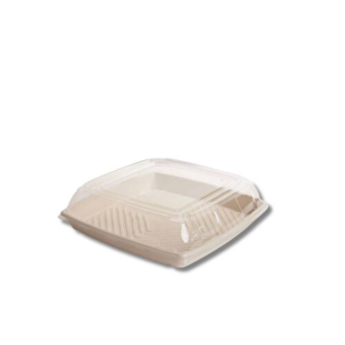Lids | PET | Sugarcane Catering Tray Small 267x267x60mm | 100pcs